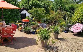 Cobweb Cottage